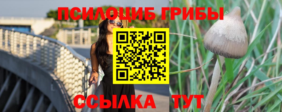 как найти   Псилоцибиновые грибы Psilocybine cubensis  Вход с VPN  Чусовой 